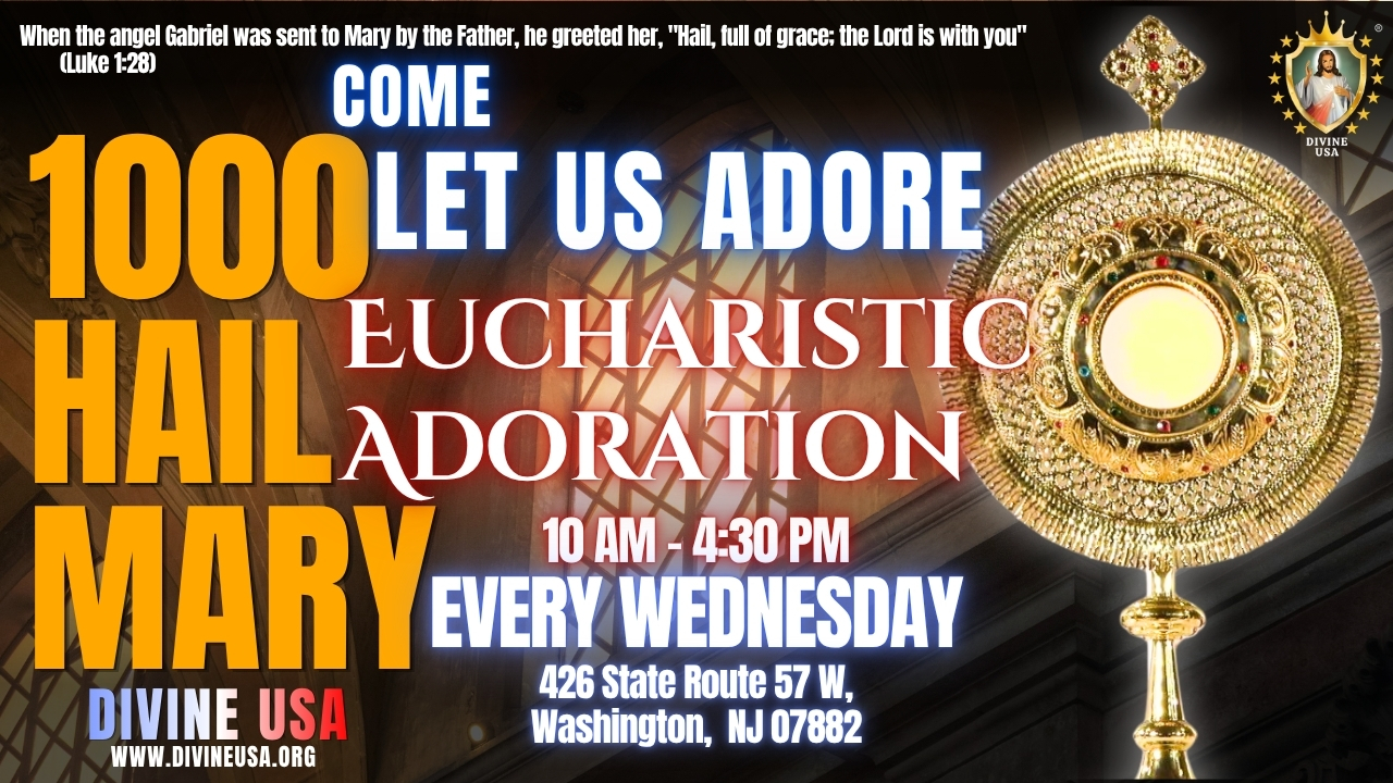 Divine NJ/PA/USA service flyer